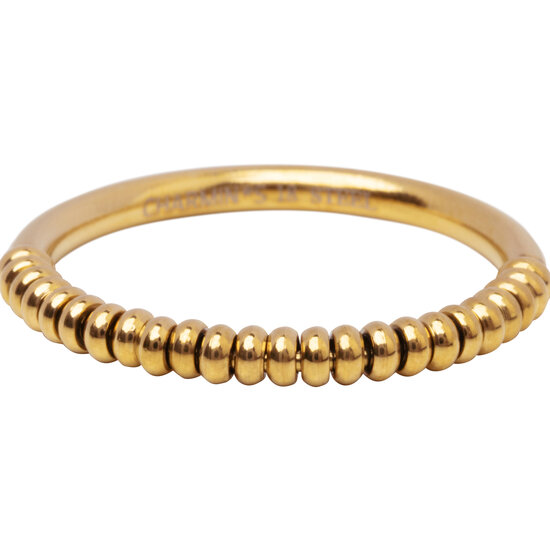 R1666 Goldfarbene Angstpalme klein mit Stahlkugeln