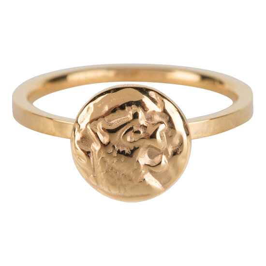 Charmin’s goudkleurige stapelring R629 Coin of power goldplated staal