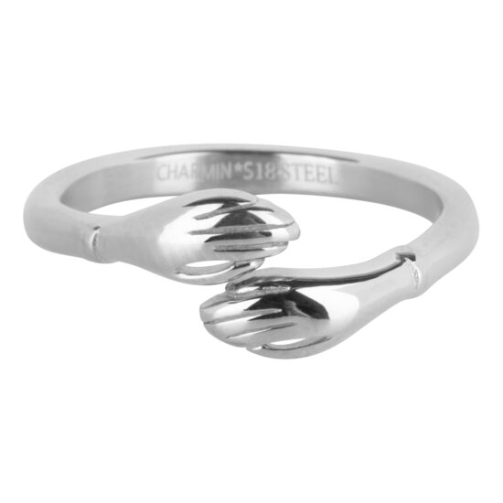 Charmin's Vriendschap Knuffel Ring Staal R1398